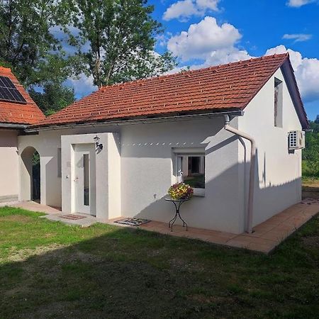 Villa Haus Yuphin Hart bei Graz Esterno foto